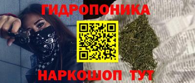 спайс Аргун