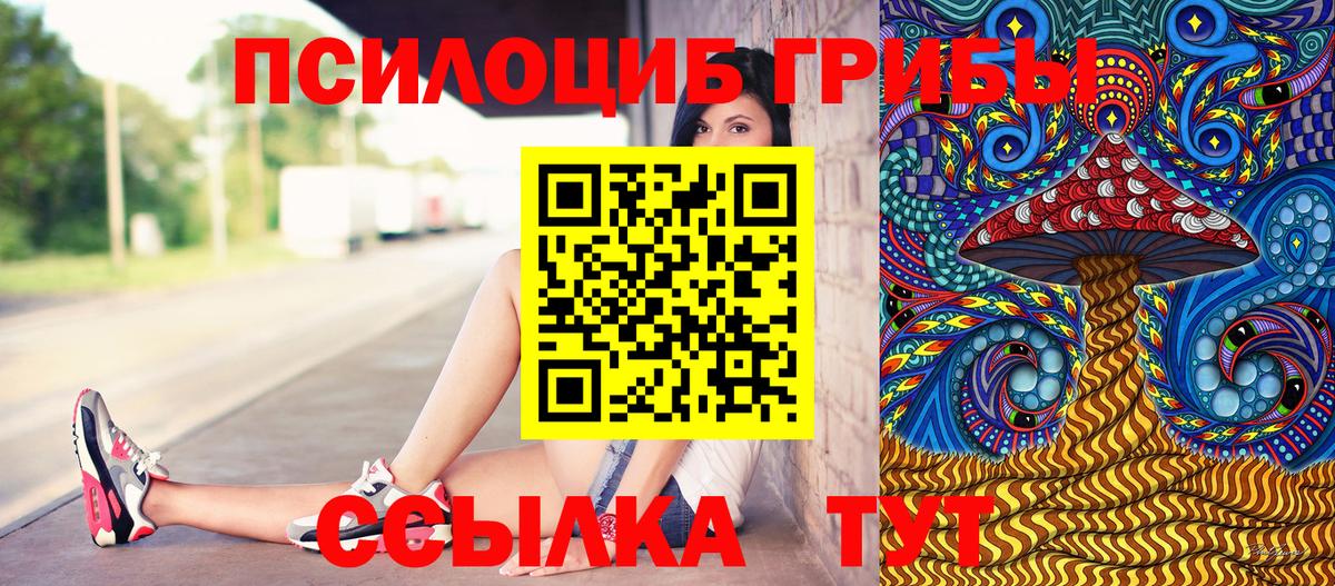 Псилоцибиновые грибы MAGIC MUSHROOMS  Галлюциногенные грибы GOLDEN TEACHER  Вход с VPN  Борзя 